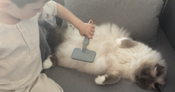 marie pet sitter à ST OUEN L AUMONE 95310_3