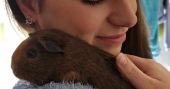 manon pet sitter à NOYAL MUZILLAC 56190_1