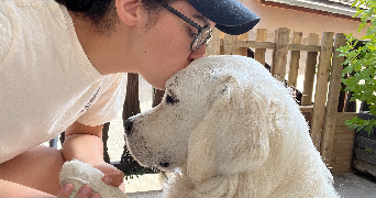 noemie pet sitter à PONT SALOMON 43330_0