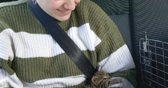 marina pet sitter à ROMANS SUR ISERE 26100_0