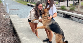 cecilia pet sitter à PARIS 07 75007_2