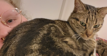 elodie pet sitter à VENISSIEUX 69200_0