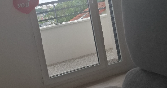 laury ann dog sitter à SARCELLES 95200_3
