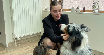 apolline pet sitter à ST LAURENT BLANGY 62223_1