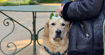 charlotte pet sitter à METZ 57000_2