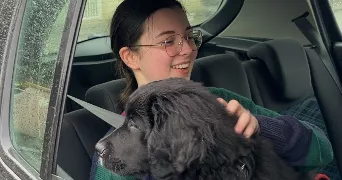 lya pet sitter à VENETTE 60280