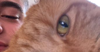 louis pet sitter à TOULON 83000_2