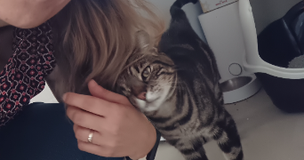 jennifer pet sitter à BONSECOURS 76240_1
