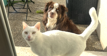 severine pet sitter à BLOTZHEIM 68730_2