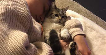 victoria pet sitter à LUCCIANA 20290_2