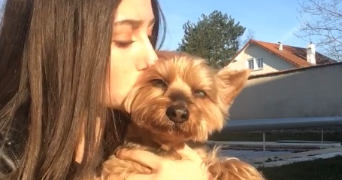 valentine pet sitter à ROANNE 42300_1