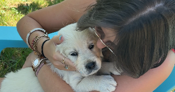 léna pet sitter à SALLES 33770_2