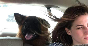 mareva pet sitter à CLAMART 92140_8