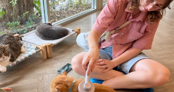 elisa pet sitter à NANTES 44200_3