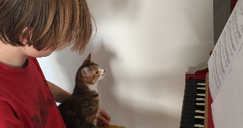bartholomé pet sitter à PARIS 06 75006_1