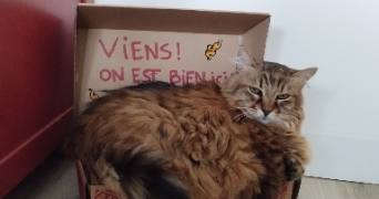verena pet sitter à Clermont-Ferrand 63100_9