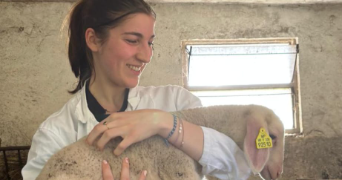 héloïse pet sitter à CHAVILLE 92370_1