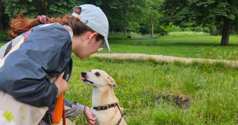 camille pet sitter à Montreuil 93100_1