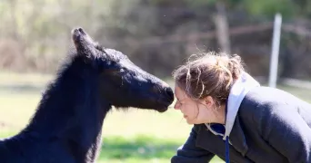 charlotte-anaïs pet sitter à PETITMAGNY 90170