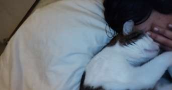 aliyah pet sitter à VERTOU 44120_2