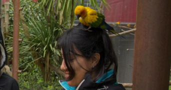 katherine pet sitter à L ISLE JOURDAIN 32600_0