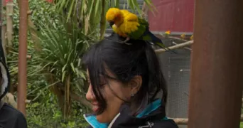 katherine pet sitter à L ISLE JOURDAIN 32600