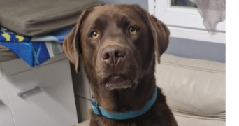 marlene pet sitter à AUNEAU BLEURY ST SYMPHORIEN 28700_4