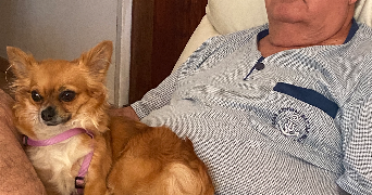 josé pet sitter à ST JEAN DE VEDAS 34430_1