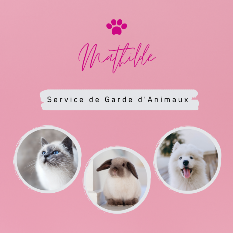 Mathilde pet sitter à Saint-Marcellin-en-Forez 42680