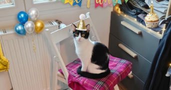 sÉbastien pet sitter à MORMANT 77720_0