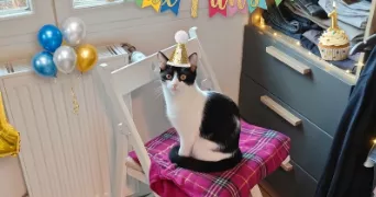 sÉbastien pet sitter à MORMANT 77720