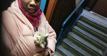 mambe oum pet sitter à VITRY SUR SEINE 94400_5