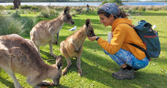 daiana pet sitter à STE RADEGONDE 24560_2