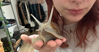 agathe pet sitter à VITRY SUR SEINE 94400_1