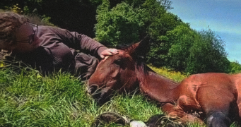 lauréline dog sitter à ST ANDRE DE BOEGE 74420_9