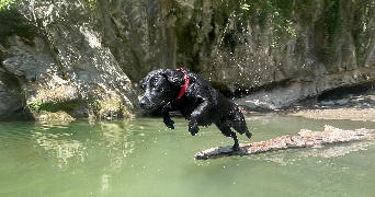 bénédicte pet sitter à Seytroux 74430_3