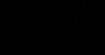 manel pet sitter à ELANCOURT 78990_0