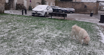 annabelle pet sitter à RULLY 60810_1