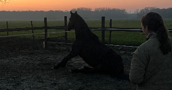 lilou pet sitter à HAZEBROUCK 59190_3