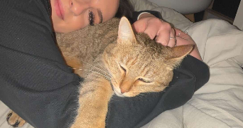 emma pet sitter à MONTPELLIER 34070_1