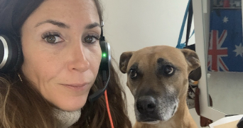 laureen pet sitter à ST JEAN DE VEDAS 34430_0