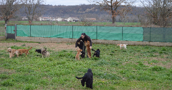 athena pet sitter à VILLEMATIER 31340_1