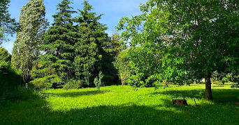 melanie dog sitter à SIMIANE COLLONGUE 13109_1