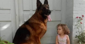 salomé pet sitter à STRASBOURG 67000_0