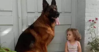 salomé pet sitter à STRASBOURG 67000