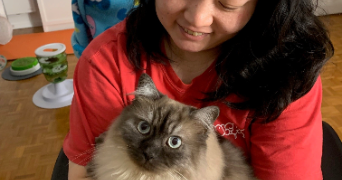 jina cat sitter à NOISIEL 77186_2