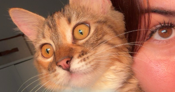 eva pet sitter à MONTIGNY LE BRETONNEUX 78180_3