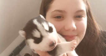 may pet sitter à Wavrans-sur-Ternoise 62130_5