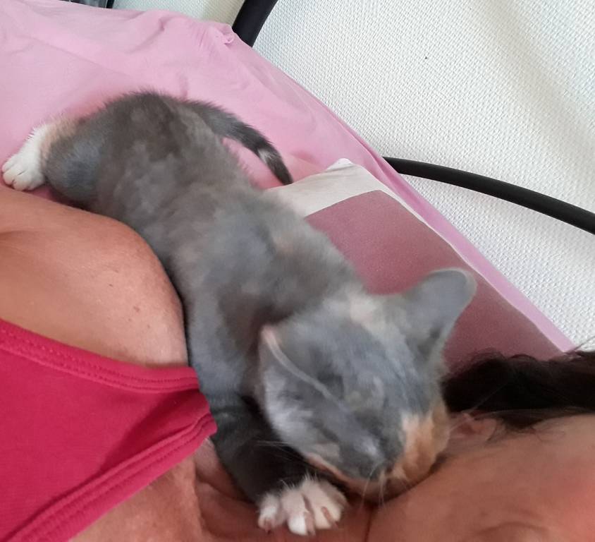 muriel pet sitter à Précy-sur-Marne 77410_5