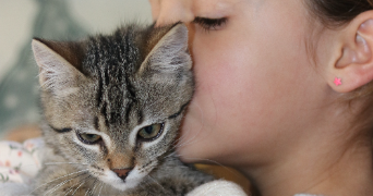 grétha cat sitter à MORDELLES 35310_1